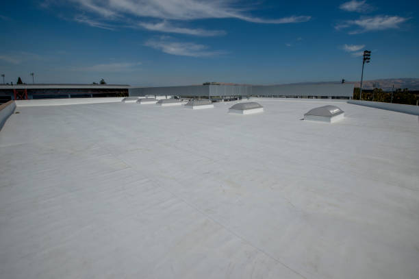 Best Metal Roofing Installation  in Homeland, CA