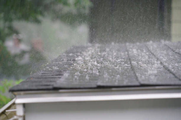 Best Roof Coating and Sealing  in Homeland, CA