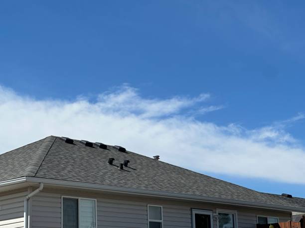 Best Gutter Installation and Repair  in Homeland, CA